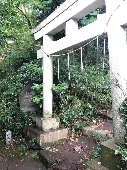 杵築大社の鳥居