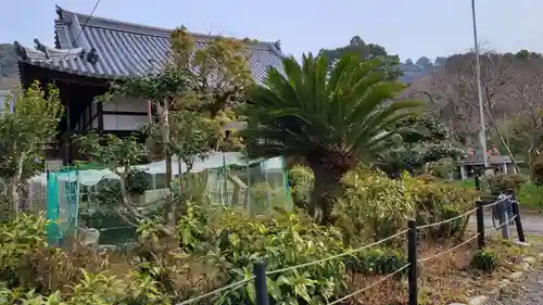 惠心院の庭園