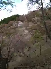 吉野水分神社の自然