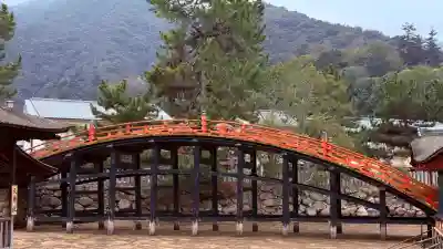 厳島神社の{uncategorized: "未分類", other: "その他", undefined: "問題あり", building: "その他建物", grave: "お墓", sacred_gate: "鳥居", guardian: "狛犬", statue: "像", buddha: "仏像", history: "歴史", nature: "自然", garden: "庭園", animal: "動物", pagoda: "塔", temizu: "手水舎", mountain_gate: "山門・神門", sanctuary: "本殿・本堂", subordinate: "末社・摂社", art: "芸術", scenery: "景色", jizo: "地蔵", ema: "絵馬", goshuin: "御朱印", omikuji: "おみくじ", items: "授与品その他", amulet: "お守り", goshuincho: "御朱印帳", eats: "食事", festival: "お祭り", votive_dance: "神楽", shichigosan: "七五三参", wedding: "結婚式", experience: "体験その他", initially: "初詣", around: "周辺", anti_infection: "感染症対策"}