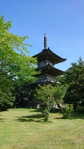 国分寺の建物その他