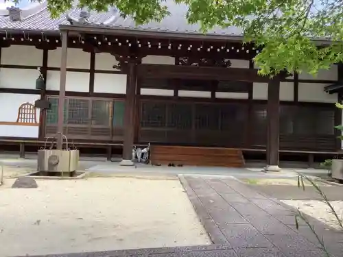 太清寺の本殿・本堂