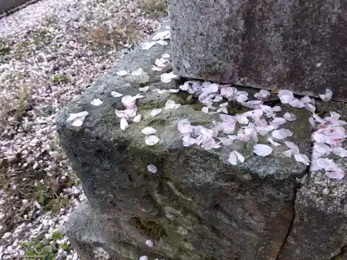大安禅寺(福井県)