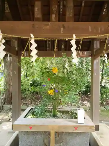 赤坂氷川神社(東京都)