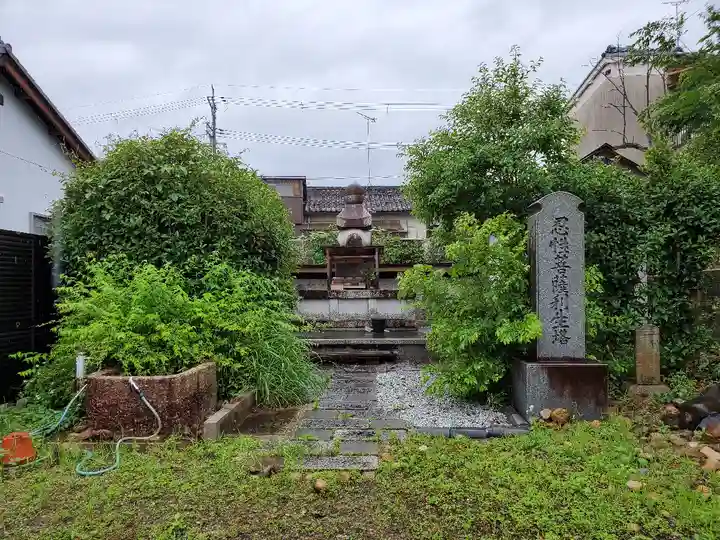 般若寺 ❁コスモス寺❁(奈良県)