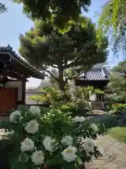 圓照寺(東京都)