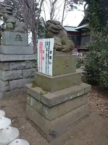 下高井戸八幡神社（下高井戸浜田山八幡神社）の狛犬