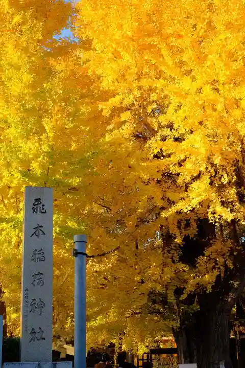 飛木稲荷神社(東京都)