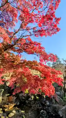 夫婦大國社(春日大社末社)(奈良県)