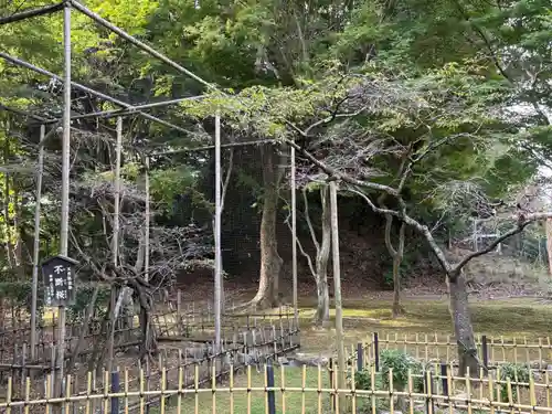 西明寺(滋賀県)