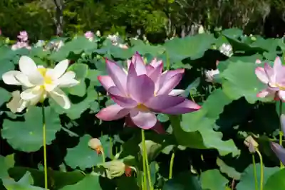 東行庵(山口県)
