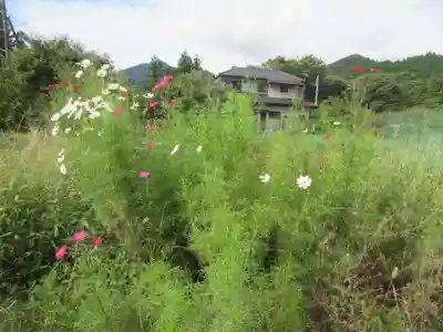 御霊神社(埼玉県)