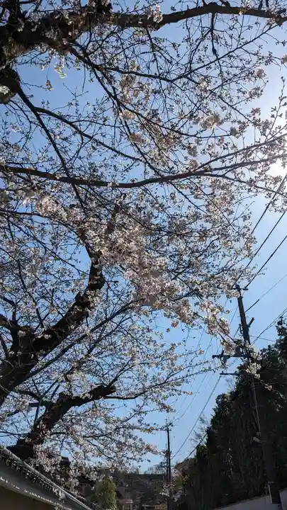 勝林寺(京都府)