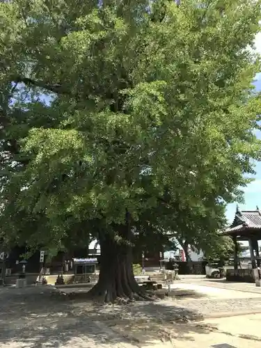 地蔵寺の建物その他