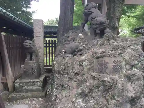 牛嶋神社の狛犬