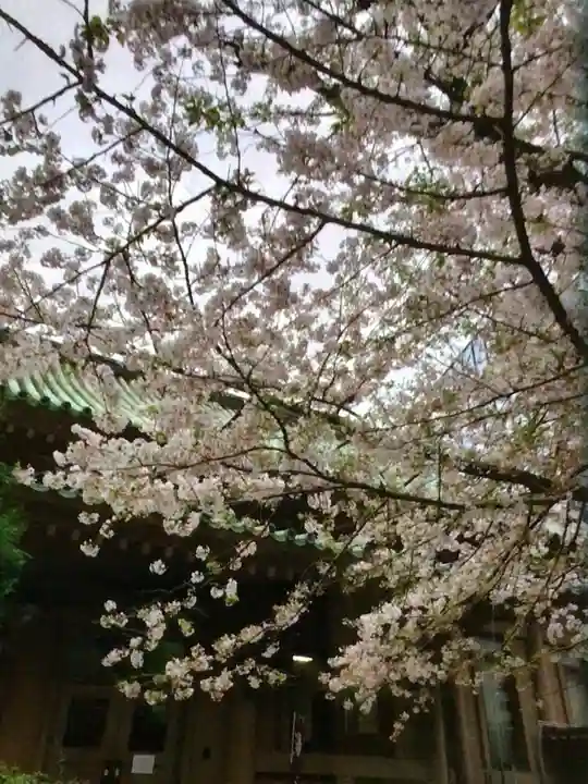 湯島聖堂(東京都)