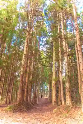 山神社(宮城県)