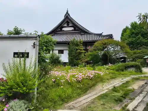 如願寺(大阪府)