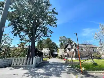 鹿島神社(滋賀県)