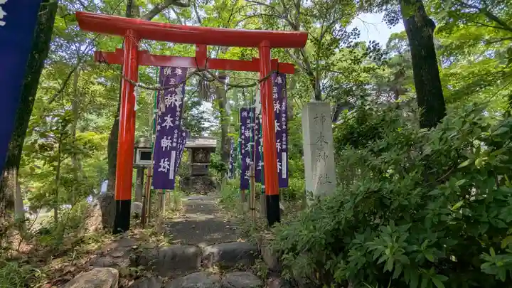 八幡神社(岐阜県)