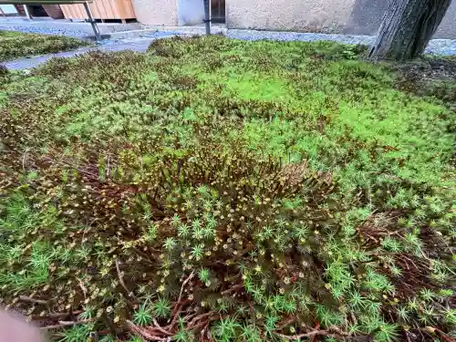 興臨院(京都府)