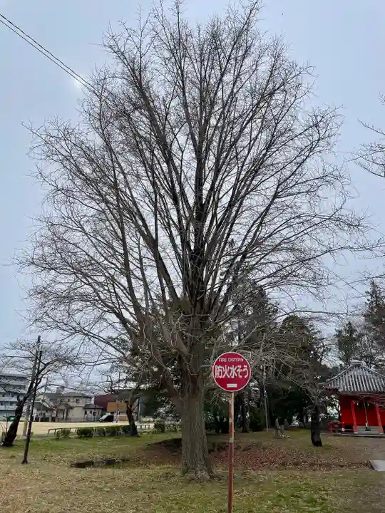 陸奥国分寺 準胝観音堂(宮城県)