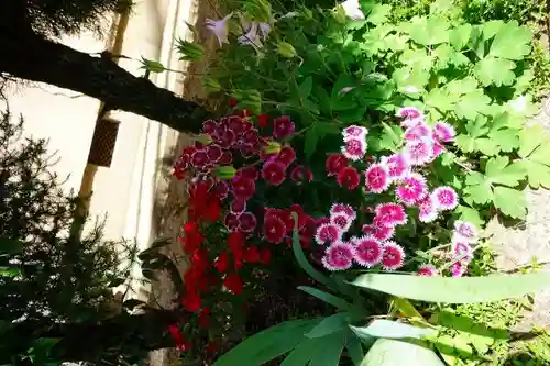 素戔嗚神社(大神神社境外末社)(奈良県)