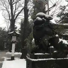 荻窪八幡神社の狛犬