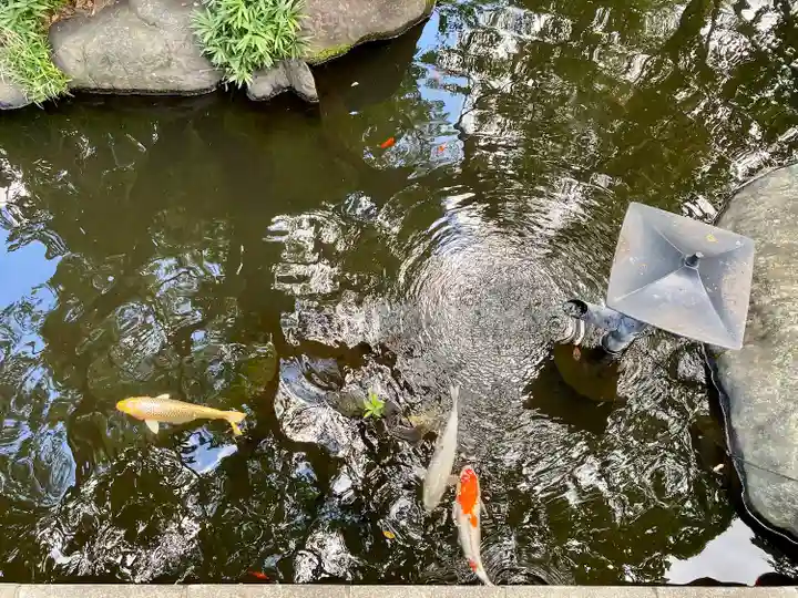 千葉天神(千葉県)