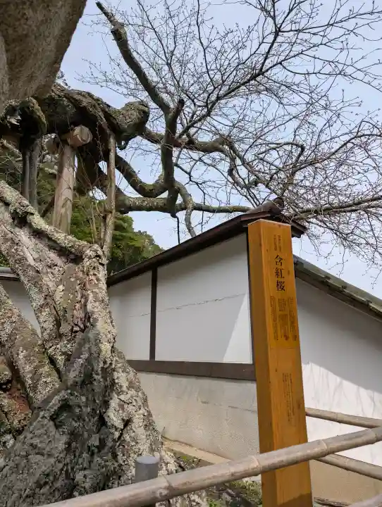 山王宮日吉神社の{uncategorized: "未分類", other: "その他", undefined: "問題あり", building: "その他建物", grave: "お墓", sacred_gate: "鳥居", guardian: "狛犬", statue: "像", buddha: "仏像", history: "歴史", nature: "自然", garden: "庭園", animal: "動物", pagoda: "塔", temizu: "手水舎", mountain_gate: "山門・神門", sanctuary: "本殿・本堂", subordinate: "末社・摂社", art: "芸術", scenery: "景色", jizo: "地蔵", ema: "絵馬", goshuin: "御朱印", omikuji: "おみくじ", items: "授与品その他", amulet: "お守り", goshuincho: "御朱印帳", eats: "食事", festival: "お祭り", votive_dance: "神楽", shichigosan: "七五三参", wedding: "結婚式", experience: "体験その他", initially: "初詣", around: "周辺", anti_infection: "感染症対策"}