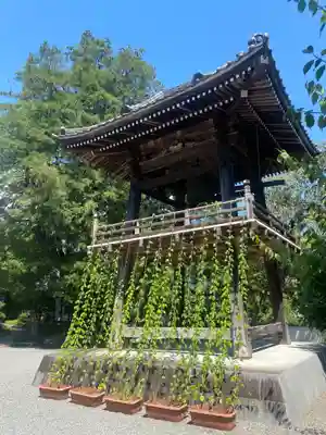 崇禅寺(群馬県)
