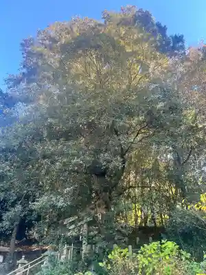 鎌八幡宮(和歌山県)