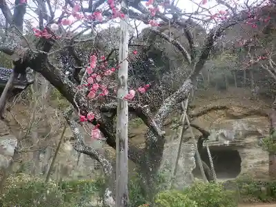 瑞泉寺のその他建物
