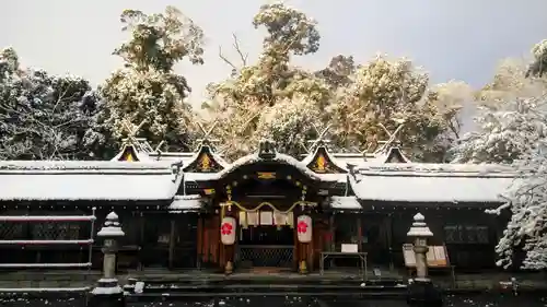 平野神社の本殿・本堂