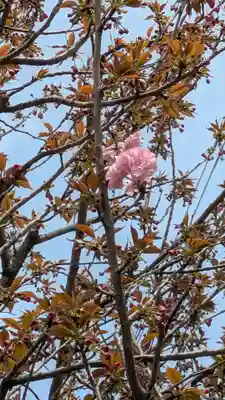 大念寺(京都府)