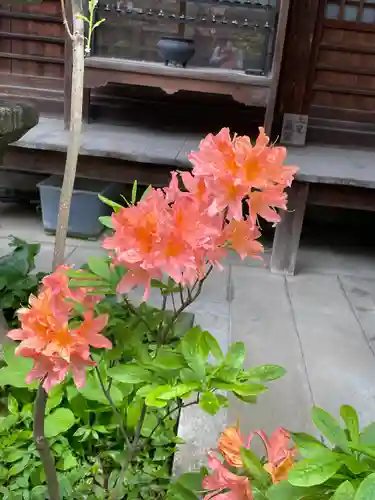 青龍寺(京都府)