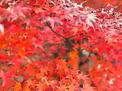 眞田神社の自然