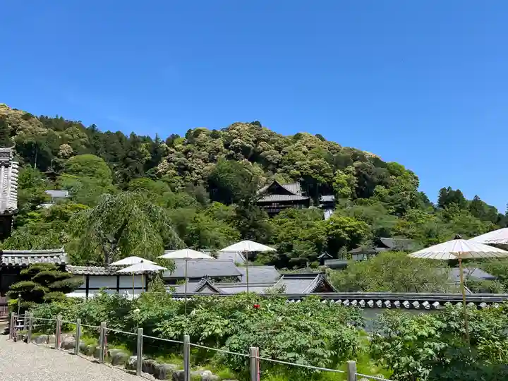 長谷寺(奈良県)
