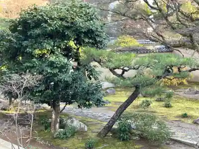 養徳院(京都府)