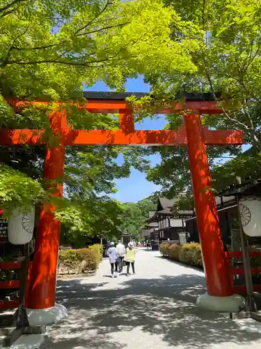 賀茂御祖神社（下鴨神社）の鳥居