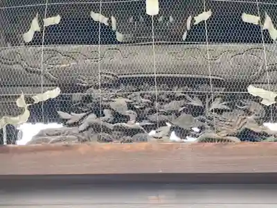 十輪寺(兵庫県)