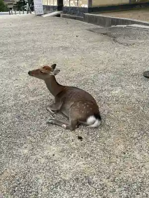 興福寺(奈良県)