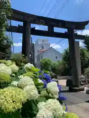 白山神社の鳥居