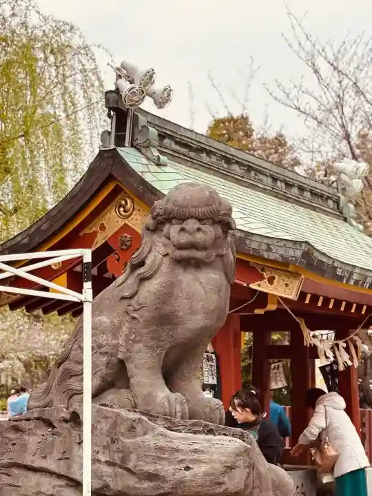 浅草神社の狛犬