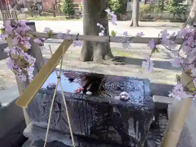 相模原氷川神社(神奈川県)