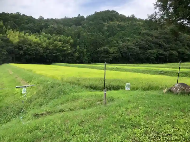 二村神社の周辺
