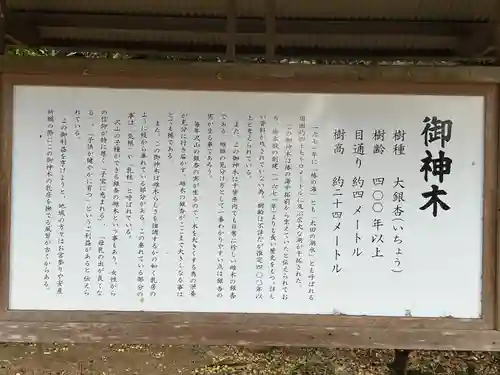 鎌数伊勢大神宮(千葉県)
