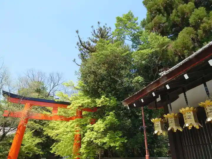 賀茂御祖神社(下鴨神社)(京都府)
