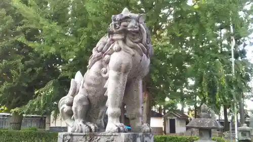 白山神社の狛犬