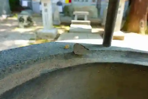 安倍文殊院 の動物